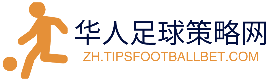 华人足球策略网